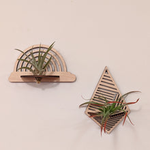 Load image into Gallery viewer, Air Plant Wall Hanger