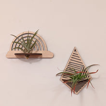 Load image into Gallery viewer, Air Plant Wall Hanger
