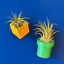 Load image into Gallery viewer, 3D Printed Air Plant Holder
